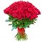 Купить 51 красную розу Эквадор 40 см