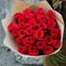 25 красных роз  " Фридом " Эквадор 40 см