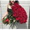 Купить 51 красную  розу Эквадор 80 см