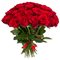 Купить 51 красную розу Эквадор 50 см