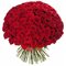 Купить 151 розу Зквадор 50 см
