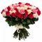 Купить 101 красную розу Эквадор 50 см