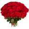 Купить 51 красную розу Эквадор 60 см.