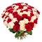 Купить 101 красную розу  Эквадор 60 см
