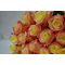 Купить 25 красных роз Эквадор 60 см