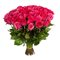 Купить 51 красную розу Эквадор 60 см.