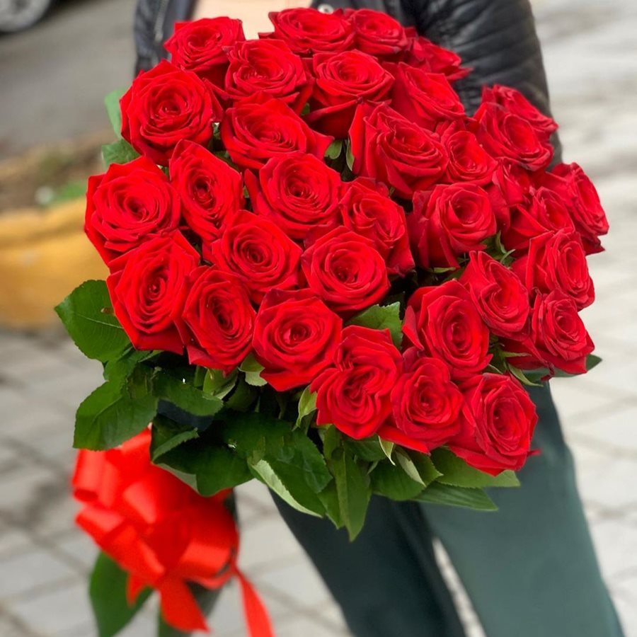 Купить 25 красных роз Эквадор 50 см