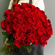 Купить 51 красную розу Эквадор 70 см