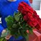 Купить 25 красных роз Эквадор 70 см