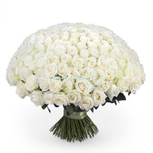 Купить 151 розу ЭКВАДОР 80 см