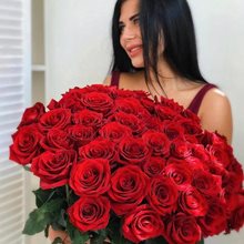 Купить 51 красную  розу Эквадор 80 см