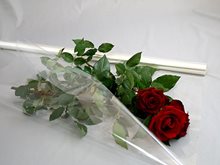 Пленка с лентой атласной
