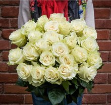 Купить 25 белых роз Эквадор 50 см