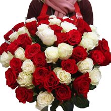 51 красная и белая роза